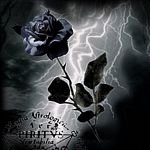 pic for Black Rose